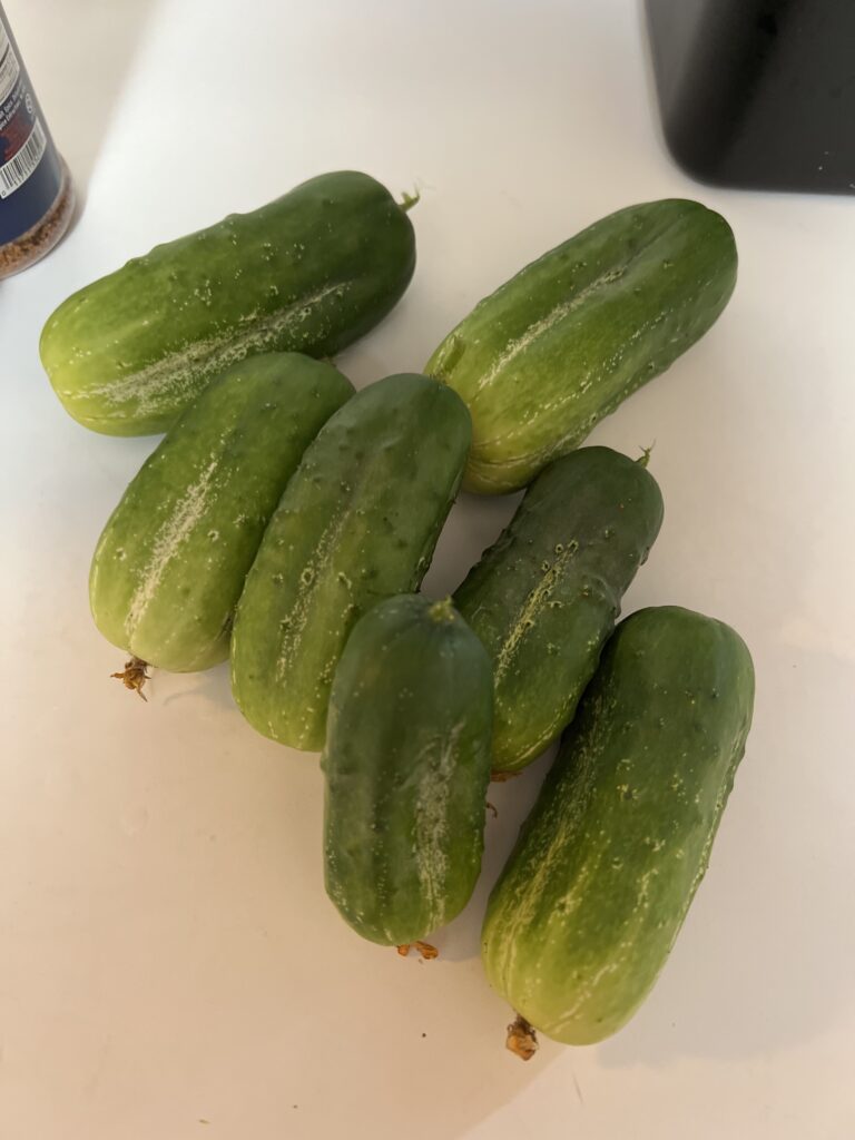 cucumbers on the counter
